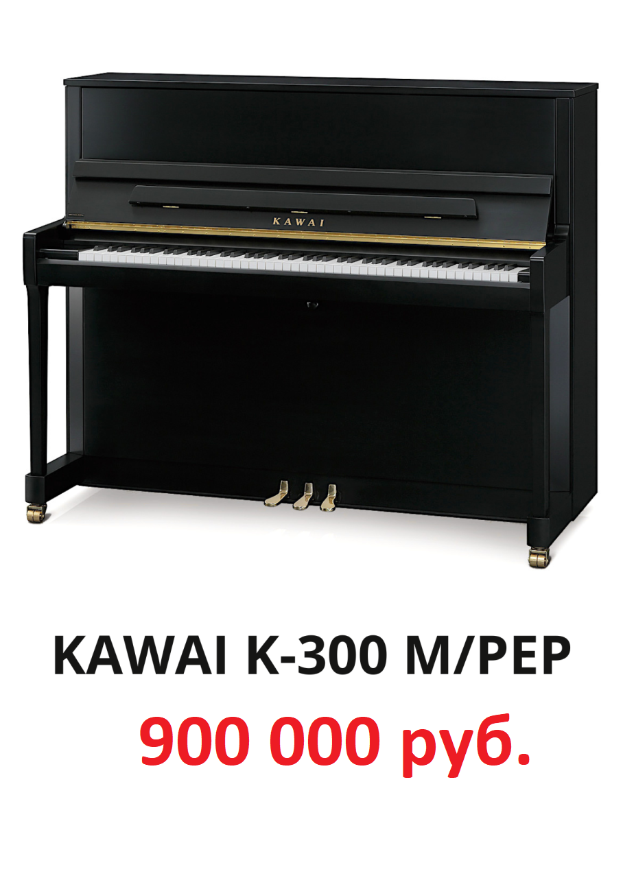 K-300 M_PEP Indonesia.png