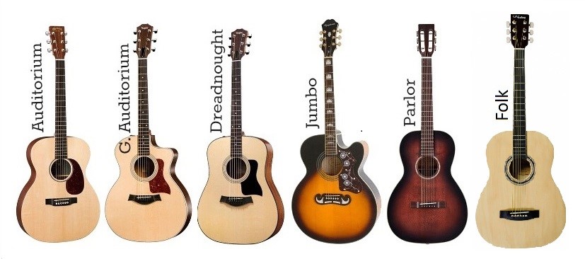 Наглядное сравнение форм акустических гитар