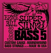 ERNIE BALL 2824