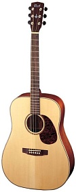 CORT EARTH100-NS Earth Series
