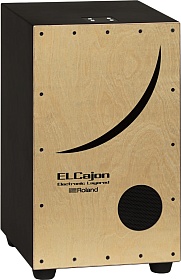 ROLAND EC-10