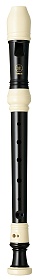 YAMAHA YRS-31