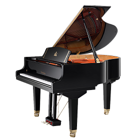 Wendl&Lung W152BK