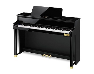 CASIO GP-510 BP