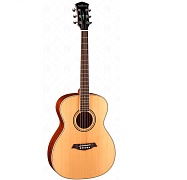 PARKWOOD S62