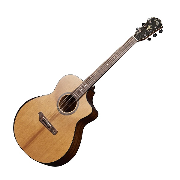 GOPHERWOOD i265RС