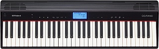 ROLAND GO-61P