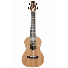PEAVEY Student