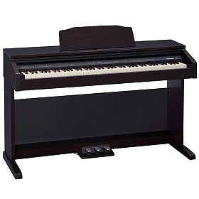 ROLAND RP30