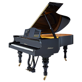 BLUTHNER Model 10 Jubilee черный полированный