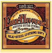 ERNIE BALL 2051