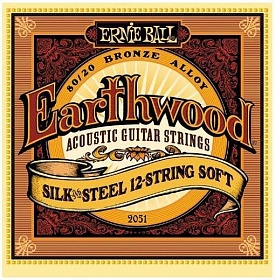 ERNIE BALL 2051