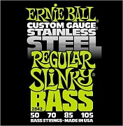 ERNIE BALL 2842