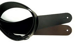 PLANET WAVES 25L00-DX