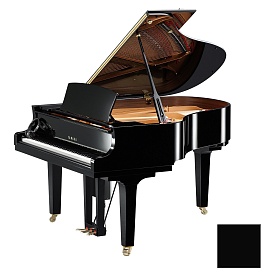 YAMAHA DC2X ENST PE