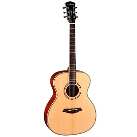 PARKWOOD P620