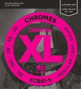 D'ADDARIO ECB81-5