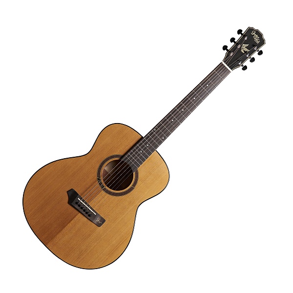 GOPHERWOOD i210R