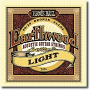 ERNIE BALL 2010