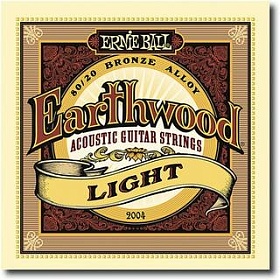 ERNIE BALL 2010