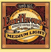 ERNIE BALL 2003