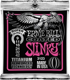 ERNIE BALL 3123