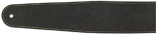 PLANET WAVES 25VNS00-DX