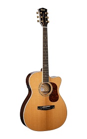 CORT Gold-OC8-NAT Gold Series