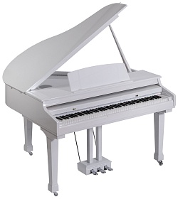 ORLA Grand 500 PWH