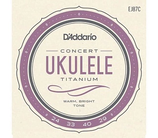 D'ADDARIO EJ87C