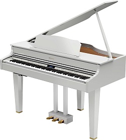 ROLAND GP607 PW