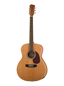 J10400 Jumbo Solo Акустическая гитара, Hora