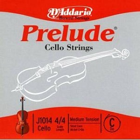 D'ADDARIO J1014 4/4M