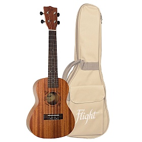 FLIGHT NUC 310