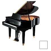 YAMAHA DGB1K ENST PWH