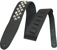 PLANET WAVES 25LGS01