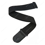 PLANET WAVES PWS100