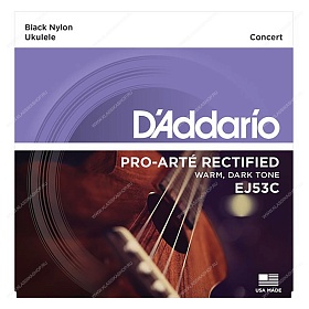 D'ADDARIO EJ53C
