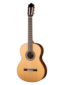 PRODIPE JMF Soloist 500