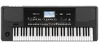 KORG PA300