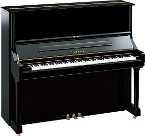 YAMAHA U3 PE