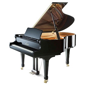 SHIGERU KAWAI SK-2L M/PEP