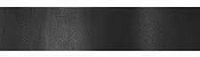 PLANET WAVES 25L00-SS