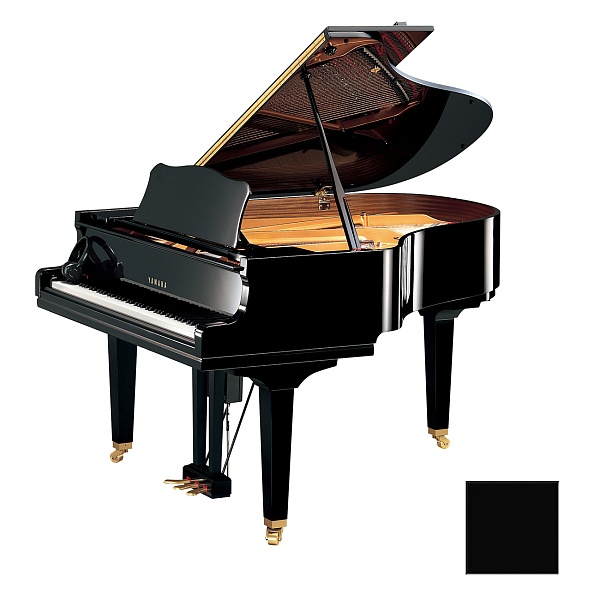 YAMAHA GC-2 PE