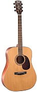 CORT EARTH100RW-NAT Earth Series