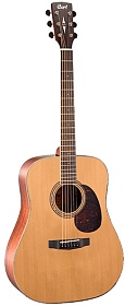CORT EARTH100RW-NAT Earth Series