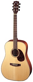 CORT EARTH80-NS Earth Series