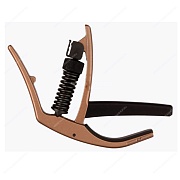 PLANET WAVES PW-CP-10