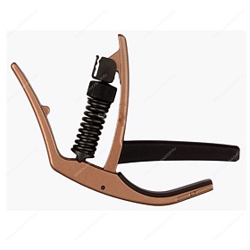 PLANET WAVES PW-CP-10