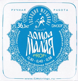ГОСПОДИН МУЗЫКАНТ DM30F Profi